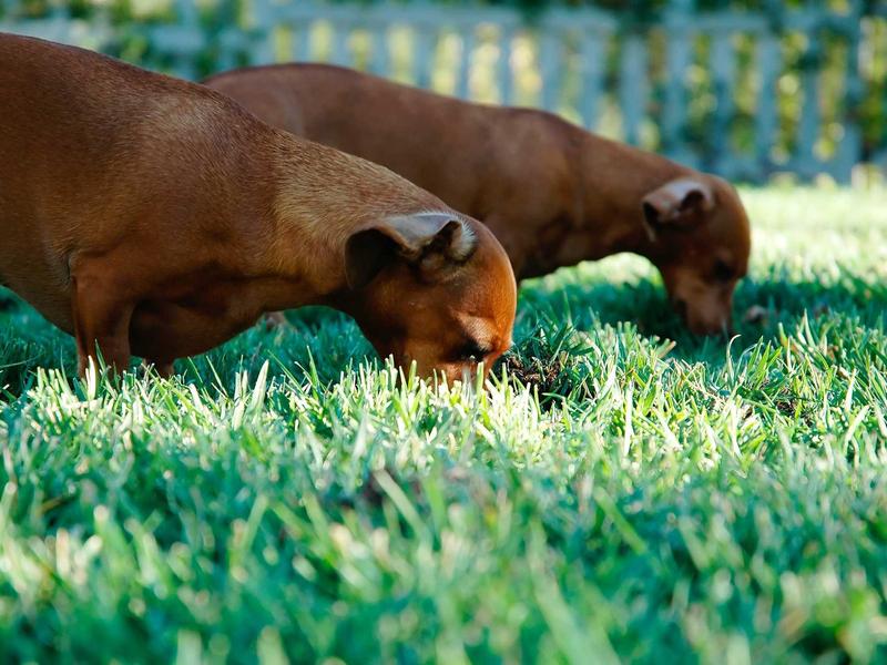 sudoku expert screenshot 5