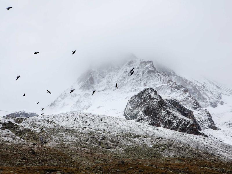 sudoku expert screenshot 3